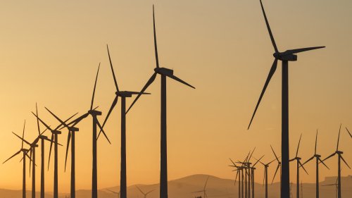 Projets suspendus, appels d'offre sans candidats: l'énergie éolienne en pleine crise