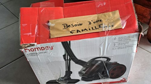 "Le carton de la honte": colère d'une ONG face à l'abandon d'un paquet avec trois chatons dans une forêt