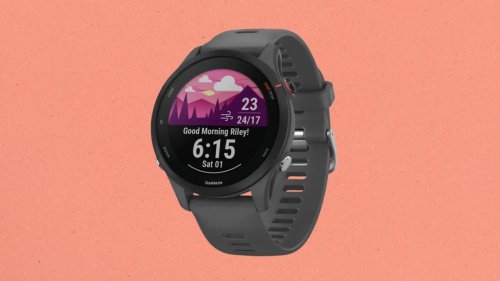 Qui a dit que cette montre Garmin ne pouvait pas profiter d'un prix bradé sur ce site célèbre ?
