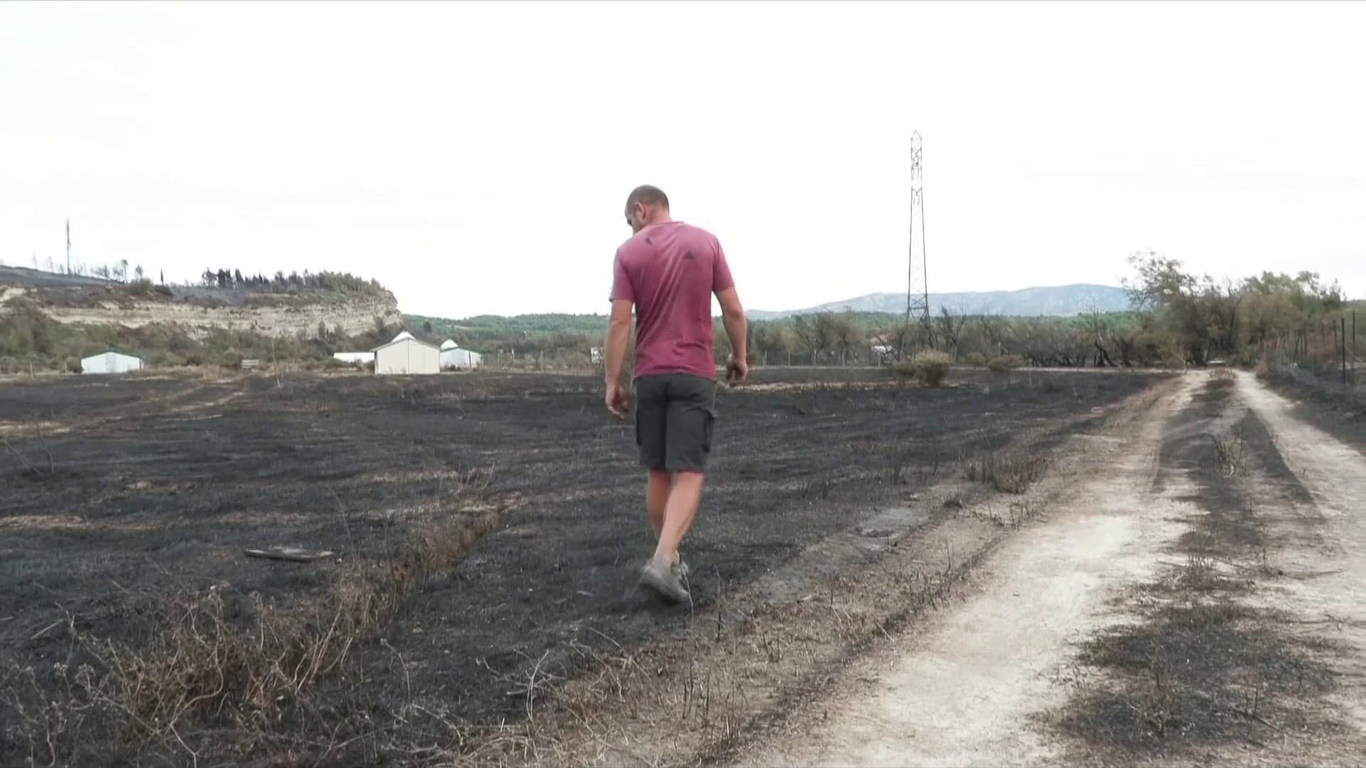 Après les terribles incendies de l’Aude, les agriculteurs vont se partager 7 millions d’euros d’indemnisation