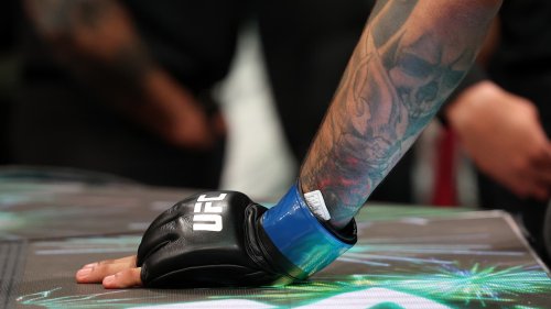 "24 mecs de l'UFC pourraient suffire": on a (vraiment) réfléchi à qui gagnerait un combat entre 100 hommes et un gorille