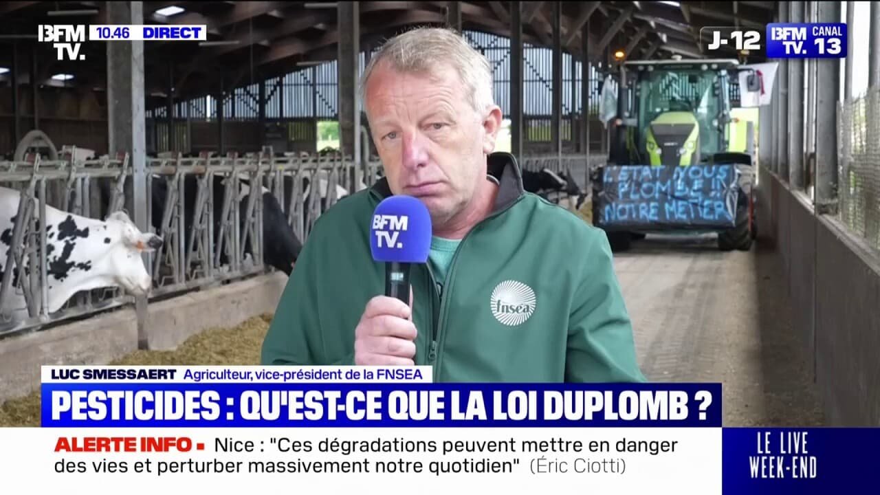 Colère des agriculteurs: « On veut absolument des textes avant la moisson, pour le 15 juin », déclare Luc Smessaert (vice-président de la FNSEA