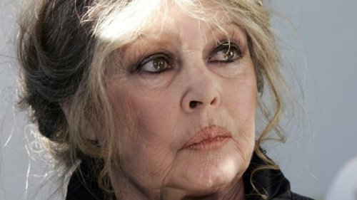 Alain Delon, la mort, la solitude... Les dernières confidences de Brigitte Bardot