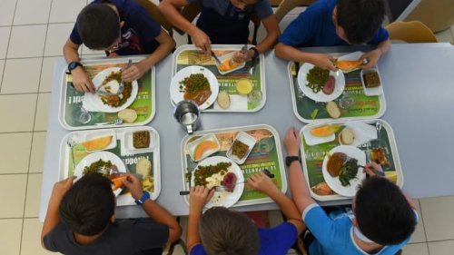 Loire-Atlantique: 24 enfants contaminés à la salmonelle dans la cantine de leur école