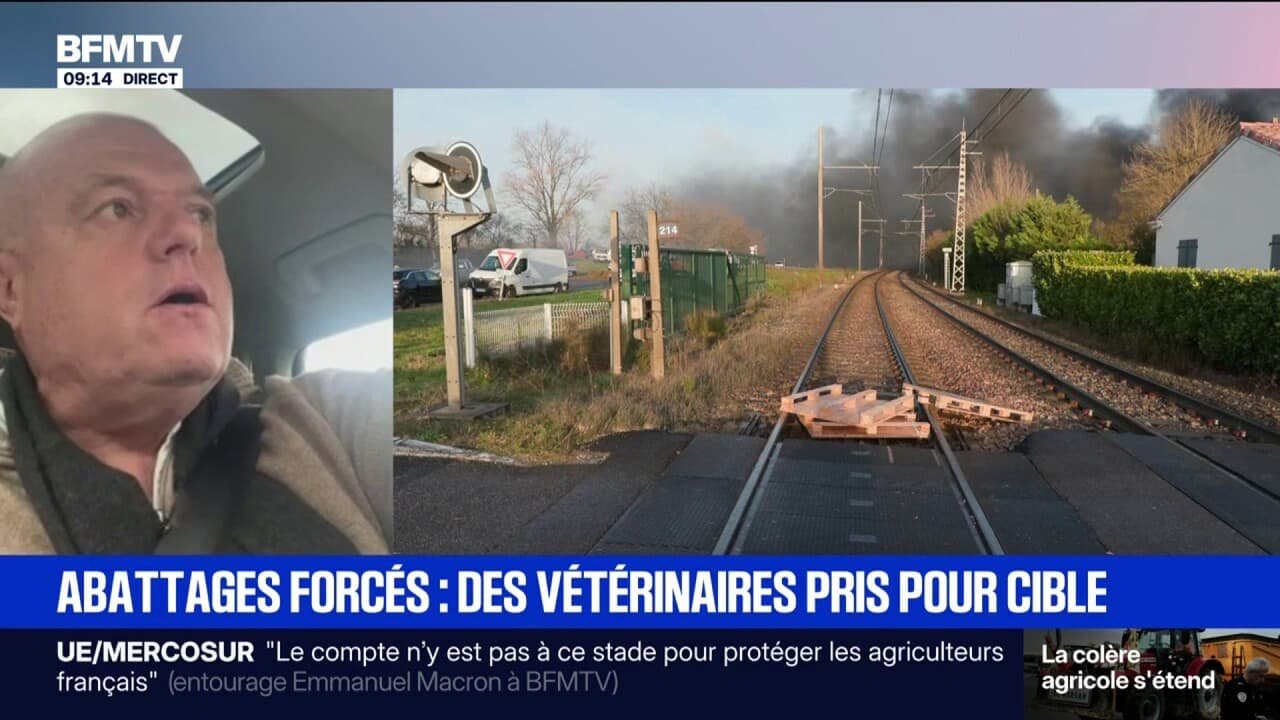 « J’ai reçu une menace de mort »: pris pour cible par des agriculteurs, ce vétérinaire a déposé plainte