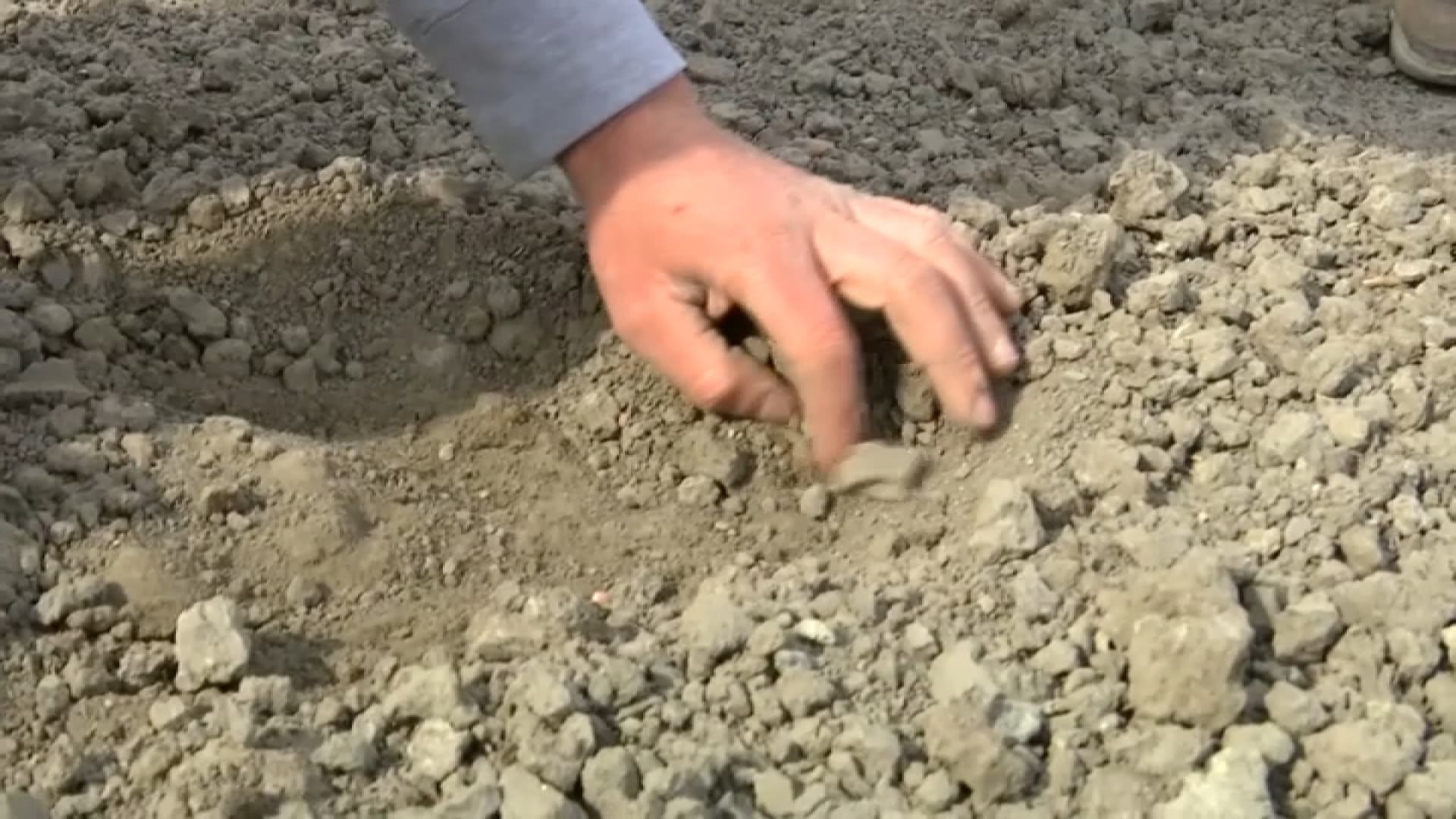 « La terre, c’est du vrai sable »: dans le Nord, les agriculteurs inquiets face à une sécheresse d’une ampleur inédite