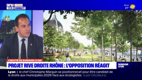 "Un véritable coup de massue sur nos commerçants": le maire du 2e arrondissement de Lyon opposé au projet de la rive droite du Rhône