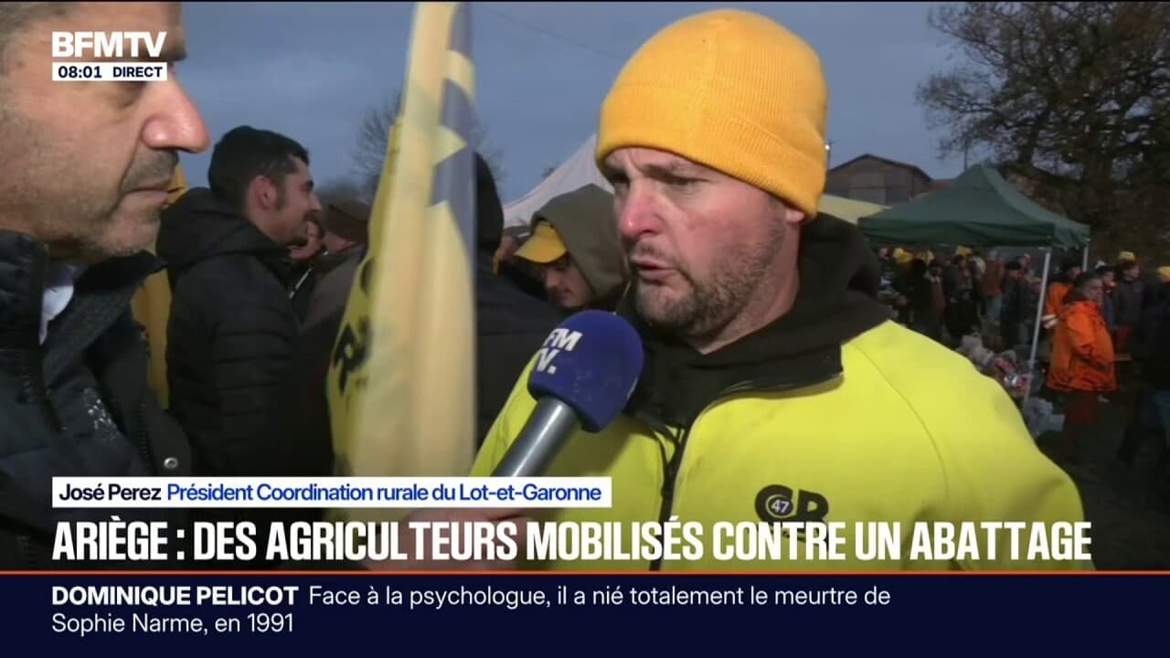 « Il faut arrêter ce système »: des agriculteurs réunis contre l’abattage des vaches touchées par la dermatose bovine