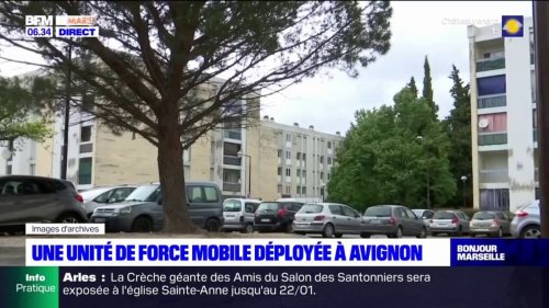 Vaucluse: une unité de force mobile déployée à Avignon pour lutter contre les trafics de drogue