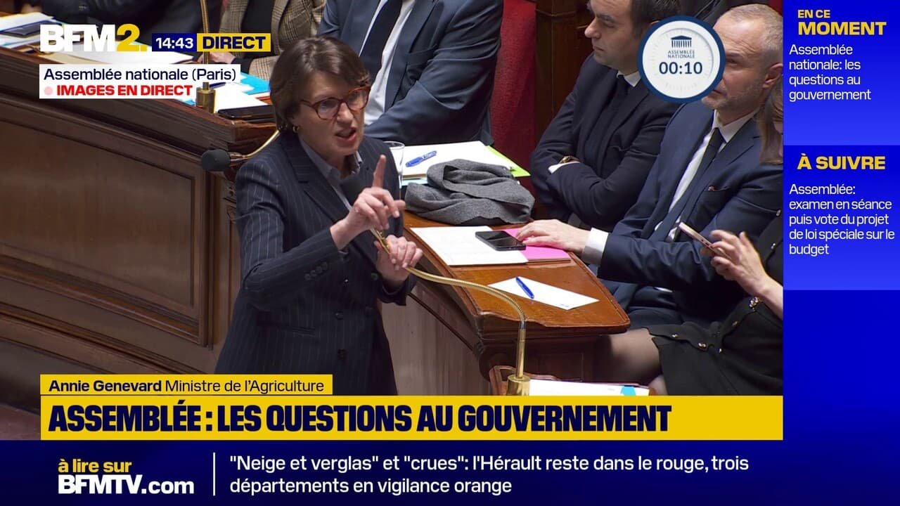 Dermatose bovine: « &lsquo;les vaccins sont arrivés dans un temps record », affirme Annie Genevard