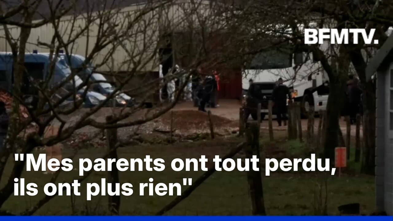 « Ils ont tout perdu »: des heurts ont éclatés dans une ferme du Doubs après l’abattage de 83 vaches