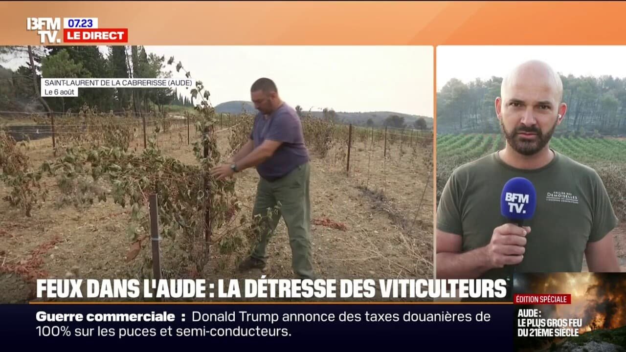 « 80% de nos vignes ont été touchées »: la détresse des viticulteurs face à l’incendie dans l’Aude