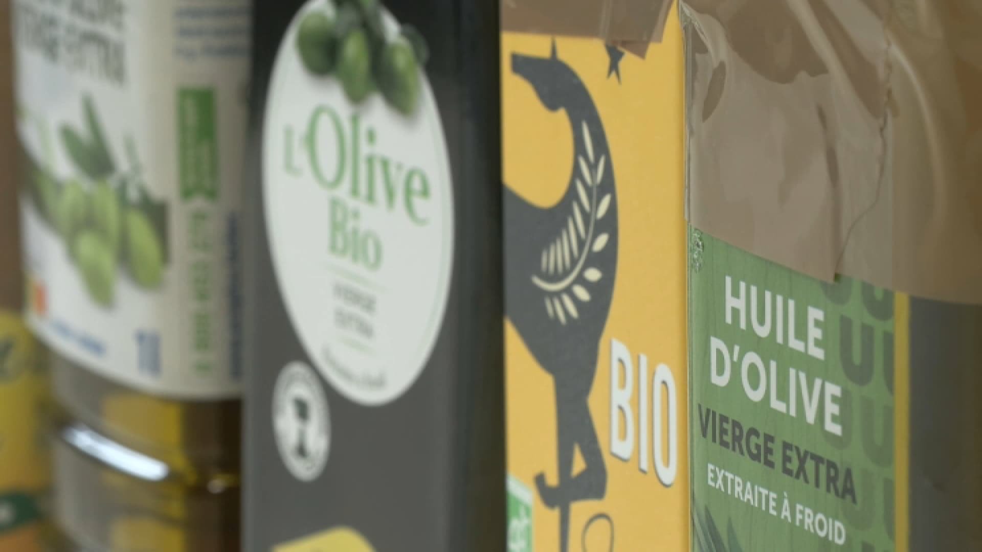 75% des huiles d’olive « vierge extra » sont trompeuses: comment reconnaître une bonne huile d’olive?