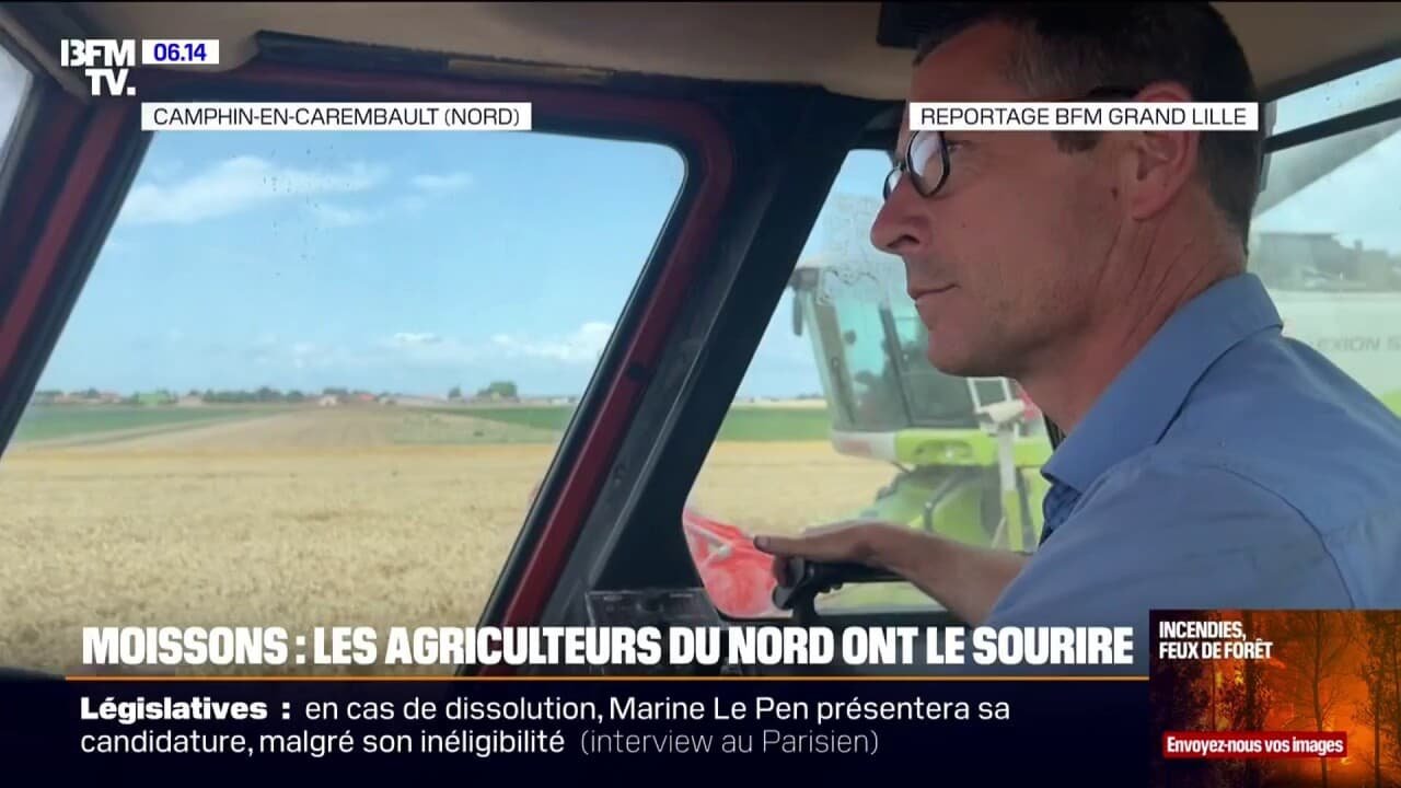 « Il y aura une bonne quantité et une bonne qualité sur la parcelle »: après la moisson désastreuse de 2024, les agriculteurs céréaliers ont le sourire