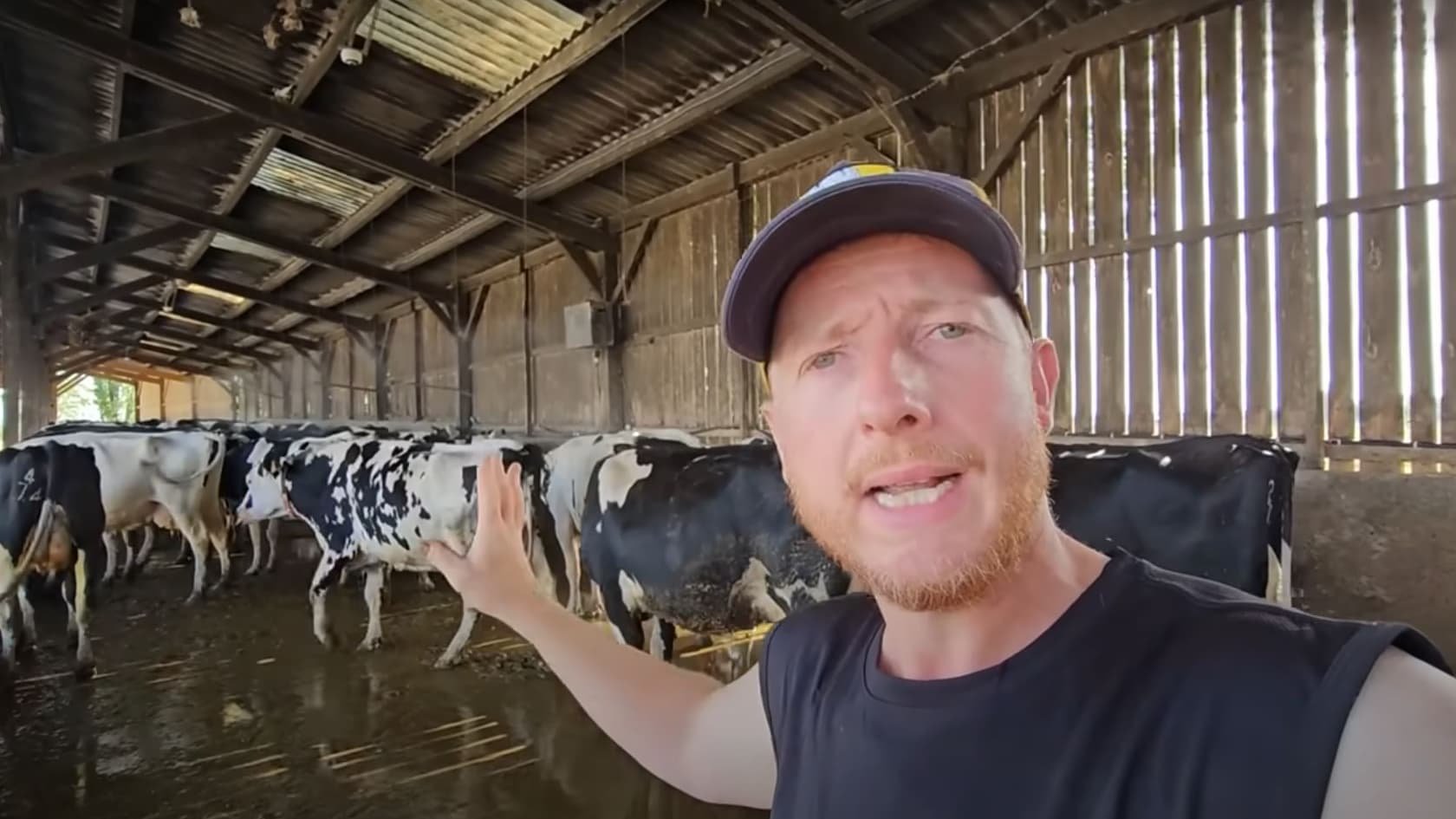 « J’ai envie de faire rêver les gens! »: ces influenceurs-agriculteurs qui tentent d’attirer les jeunes