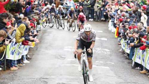 "Même en vélo électrique...": le message ironique de Calmejane sur la performance de Pogacar à la Flèche Wallonne