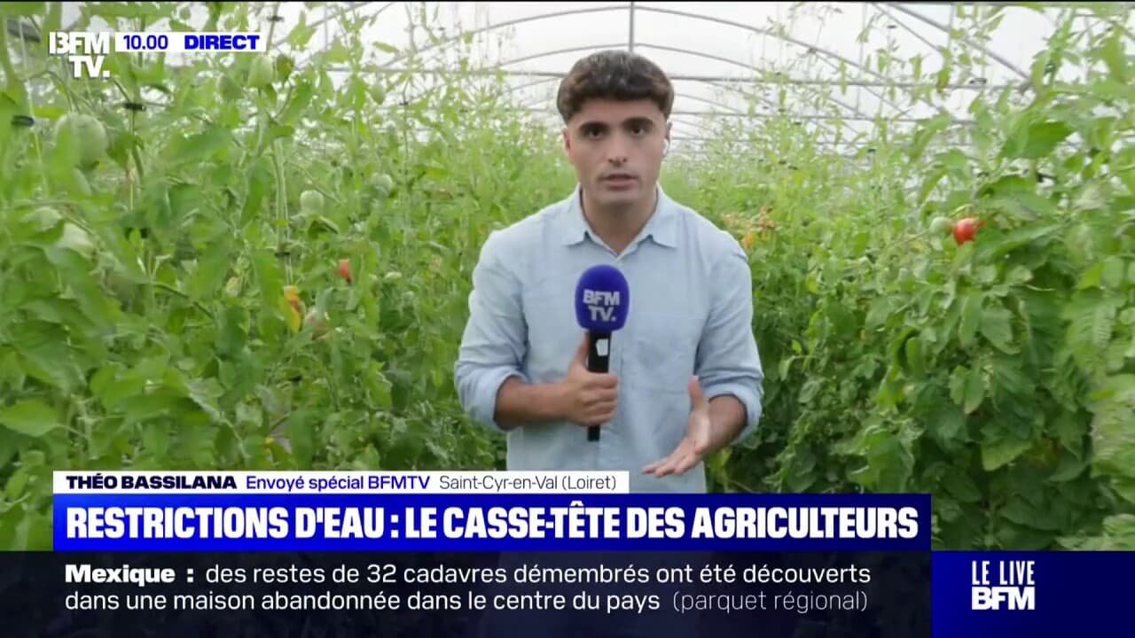 « On optimise la moindre goutte d’eau”: les agriculteurs s’adaptent aux restrictions d’eau liées à la sécheresse