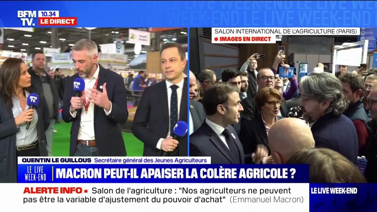 « Si on continue comme ça, dans deux, trois ans, la filière noisettes n’existe plus »: le secrétaire général des Jeunes Agriculteurs tire la sonnette d’alarme