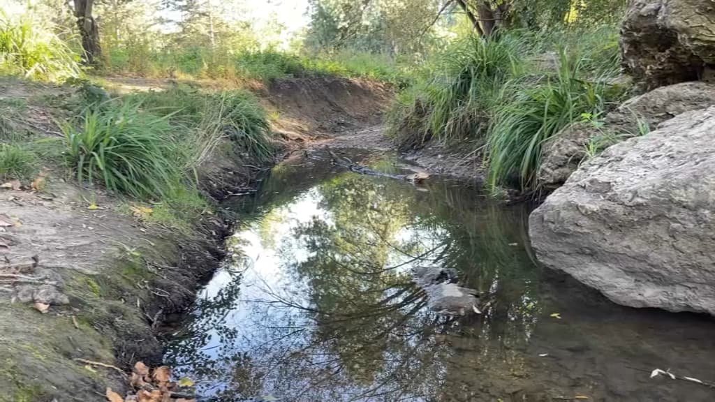 L’Île-de-France menacée à terme par des sécheresses sévères, selon l’OCDE