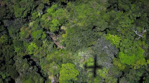 Une ancienne civilisation perdue découverte au plus profond de l'Amazonie