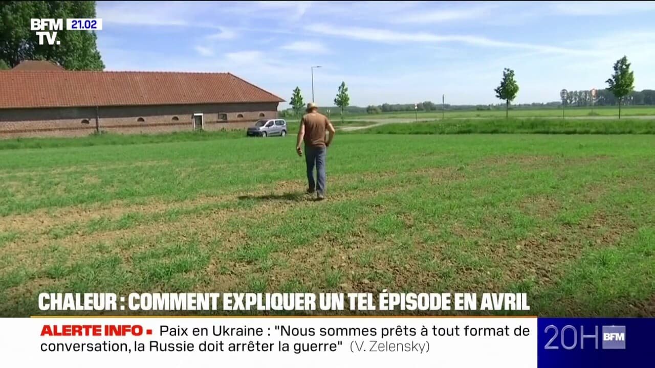 Sécheresse, sols arides… avec l’épisode de chaleur, les agriculteurs craignent pour leurs cultures