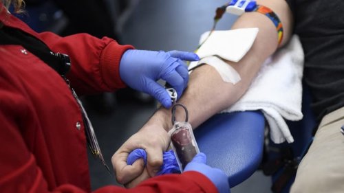États-Unis: vers un assouplissement des règles encadrant le don du sang par les homosexuels