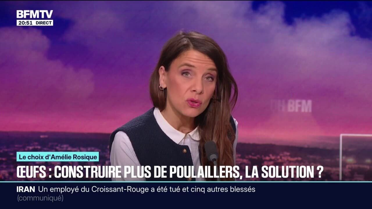 LE CHOIX D&rsquo;AMÉLIE ROSIQUE – Face à la pénurie d&rsquo;œufs, le gouvernement veut installer plus de poulaillers