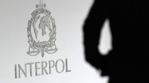 Commerce illégal d'espèces sauvages: Interpol annonce des centaines d'interpellations