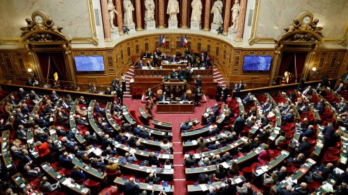 La Cimade, France terre d'asile... Le Sénat vote pour écarter les associations des centres de rétention administrative