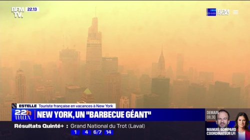 "La visibilité est très compliquée et l'air irrespirable", une touriste française témoigne du niveau de pollution à New York, causé par les fumées des incendies au Canada