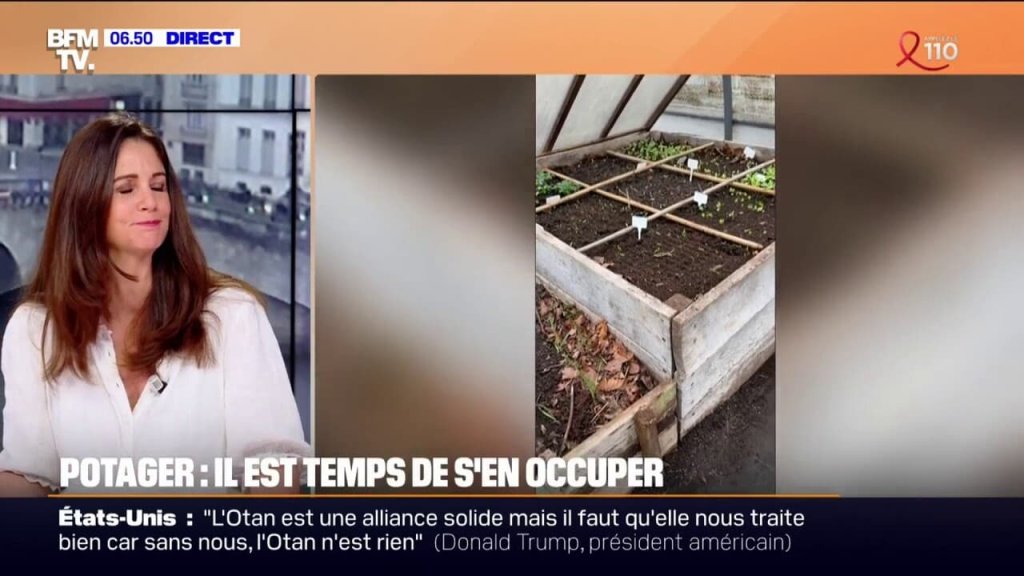 Plantes  - cover