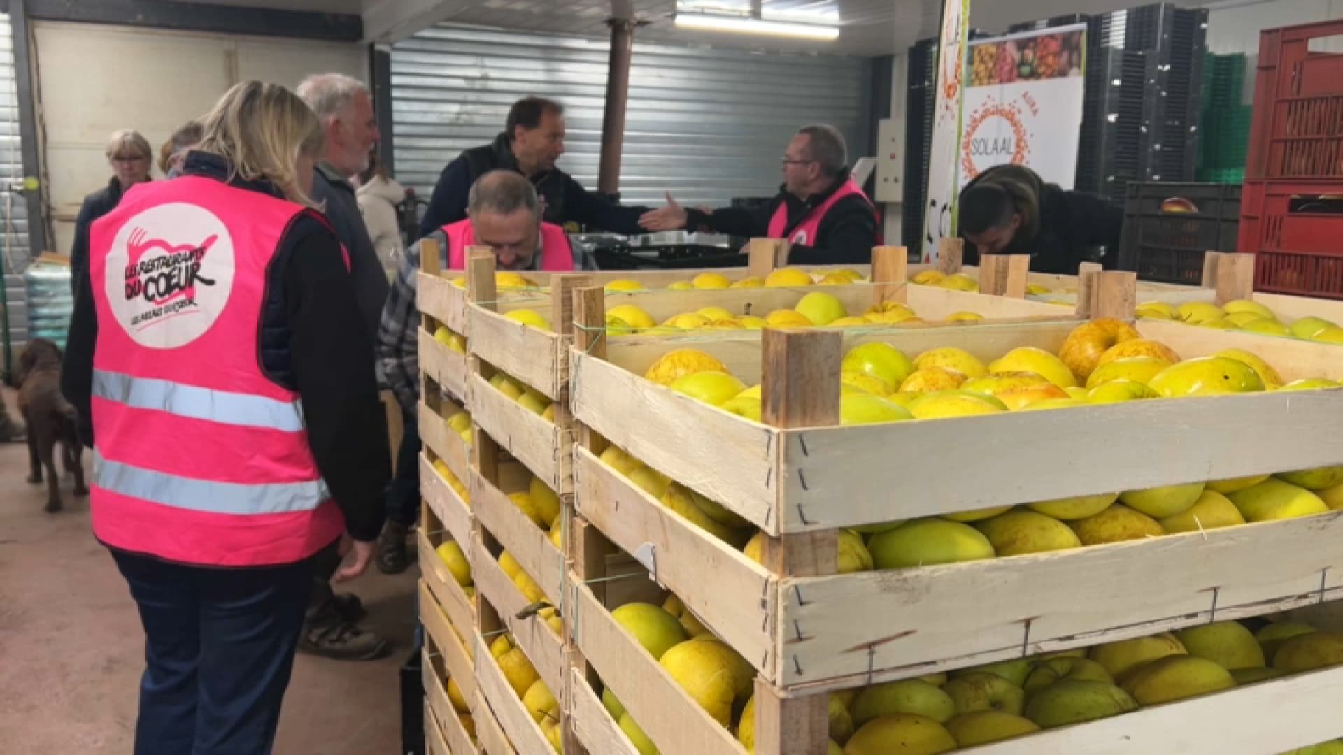 Thurins: des agriculteurs font don de leurs fruits et légumes invendus à des associations caritatives