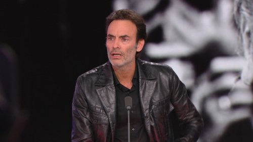 "Ça m'a blessé": Anthony Delon explique sur BFMTV avoir vécu le deuxième testament de son père comme un "déni de paternité"
