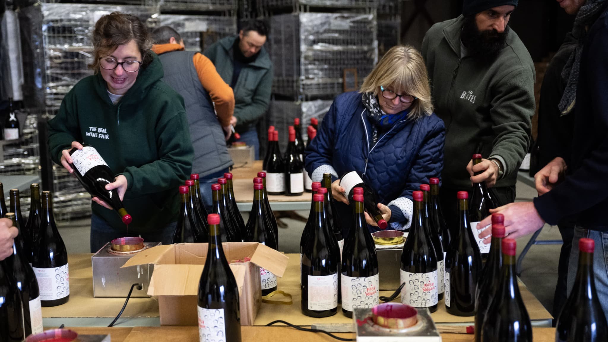 Victimes d’un gel « historique » au printemps 2024, des vignerons de Provence lancent leur cuvée solidaire
