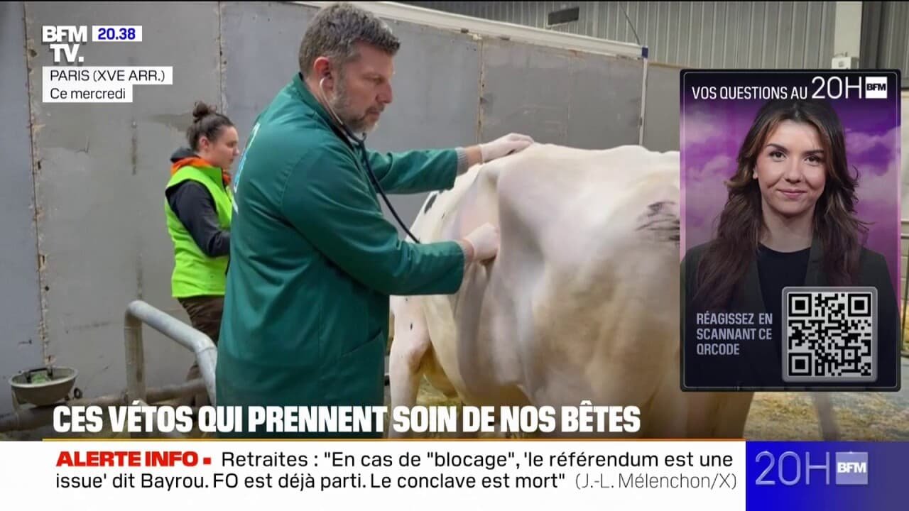 Bien-être animal au salon de l’agriculture: les vétérinaires en première ligne