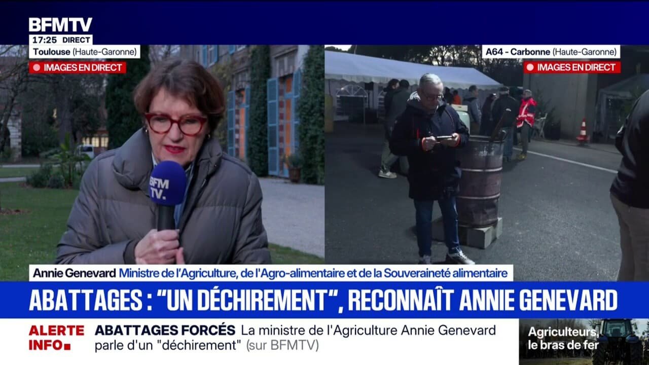Annie Genevard assure que certains agriculteurs « ne respectent pas » les consignes de non déplacement des bovins contaminés par la dermatose nodulaire