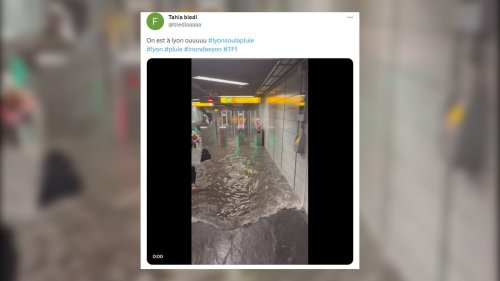 Lyon: la circulation de la ligne D perturbée après des inondations dans le métro