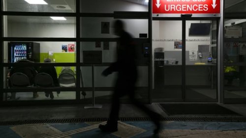 Faut-il avoir peur de Candida auris, le champignon résistant qui inquiète les États-Unis?