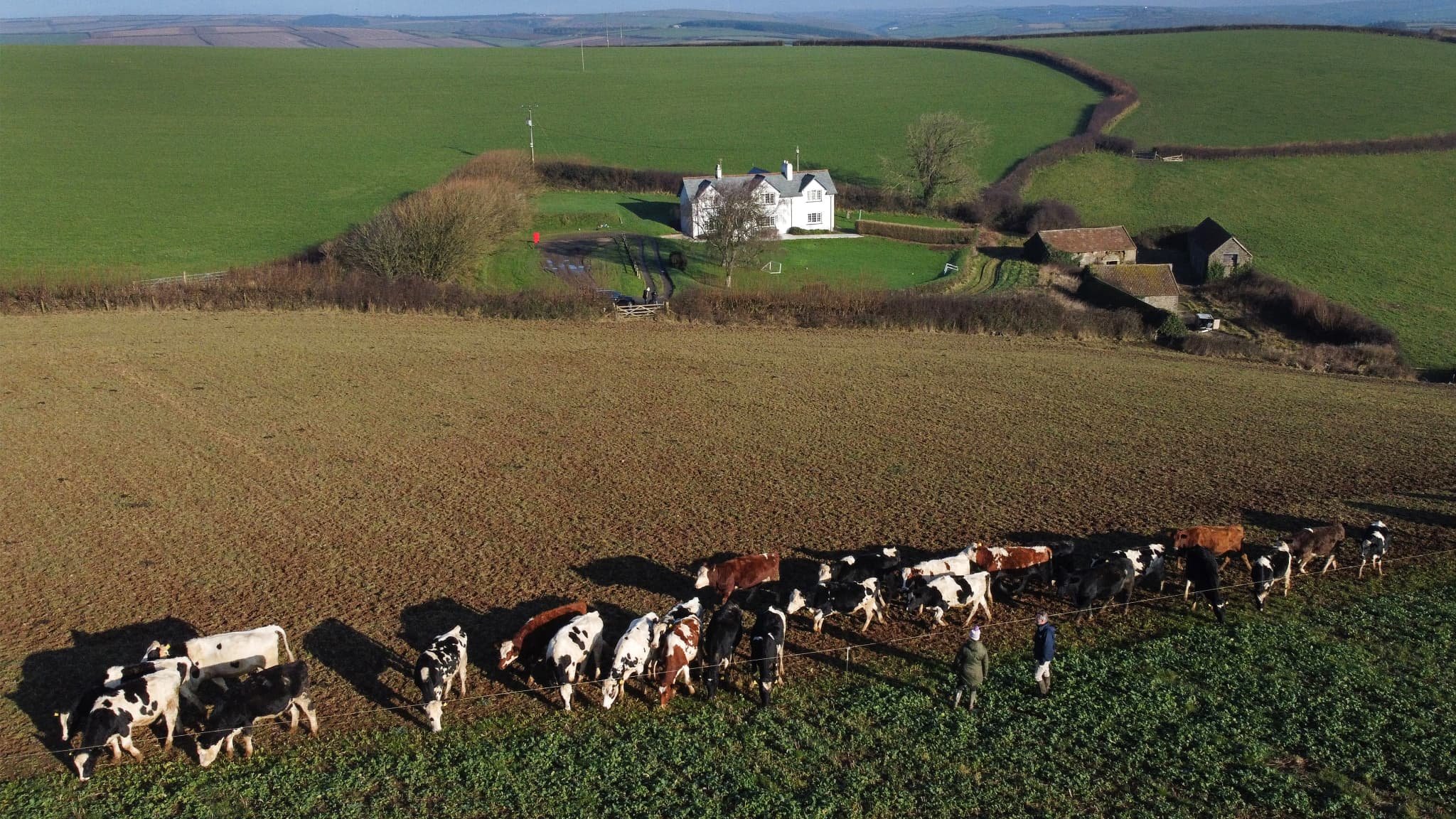 « La situation est grave »: les agriculteurs britanniques en colère contre un nouvel impôt décidé par le gouvernement