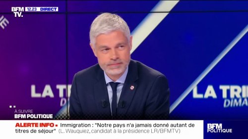 Sas de sécurité, badges, portiques... Laurent Wauquiez souhaite introduire des "dispositifs anti-intrusion dans tous les lycées de France"