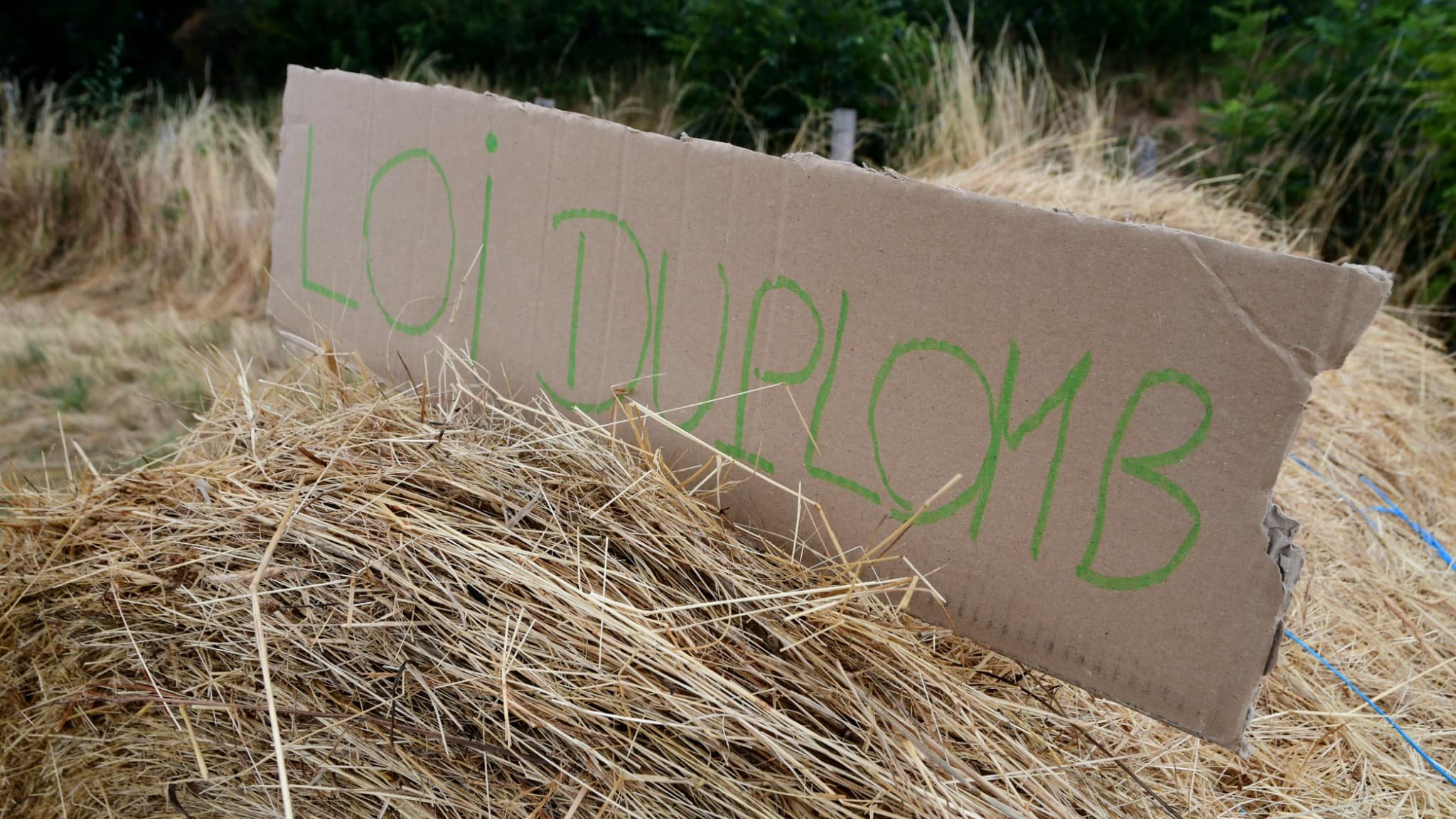 Privée de la réintroduction de l’acétamipride, que contient la loi agricole Duplomb promulguée par Emmanuel Macron?
