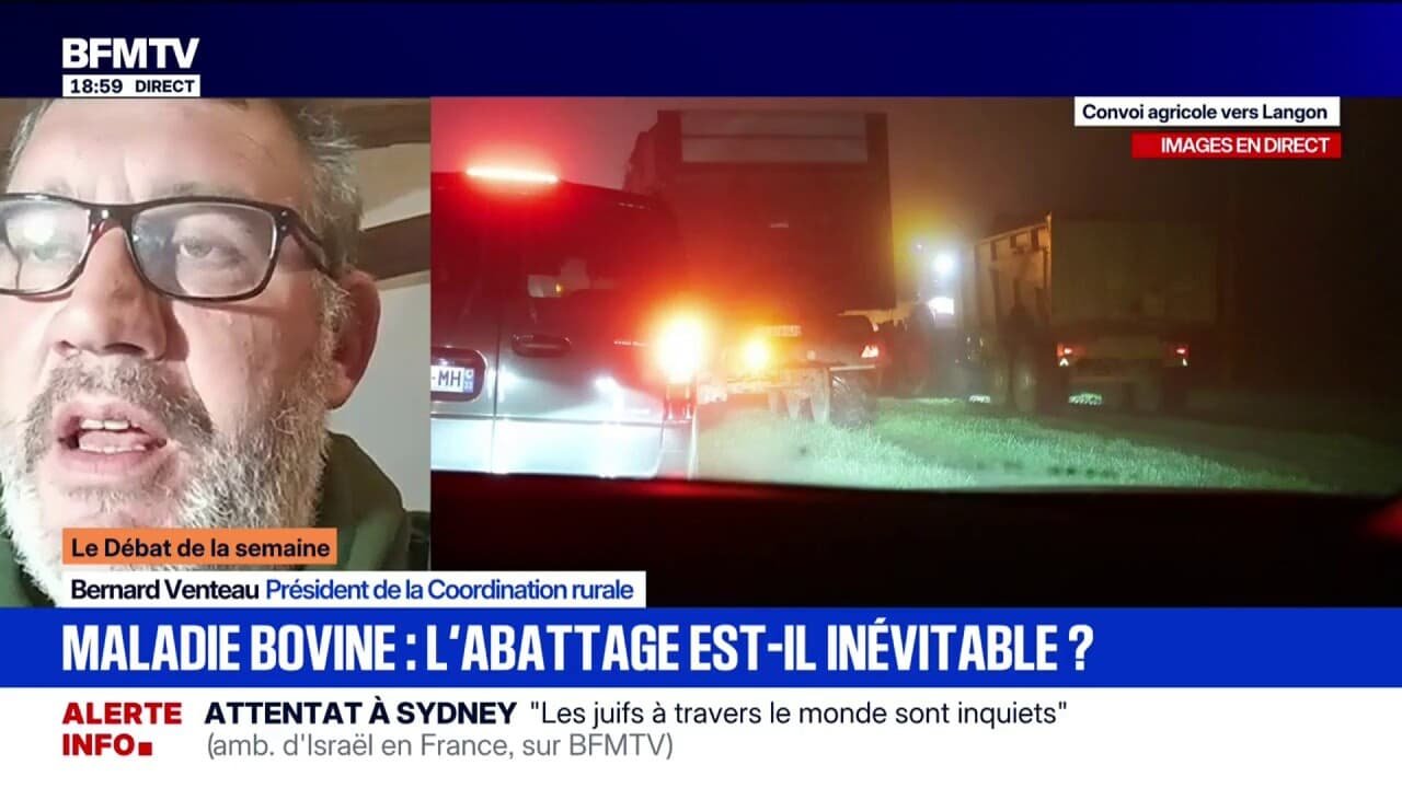 Dermatose bovine: pour Bernard Ventaux, président de la Coordination rurale, « Annie Genevard ne va pas bouger d&rsquo;une oreille » sur l&rsquo;abattage des troupeaux par précaution