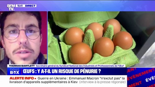Y a-t-il un risque de pénurie d'œufs?