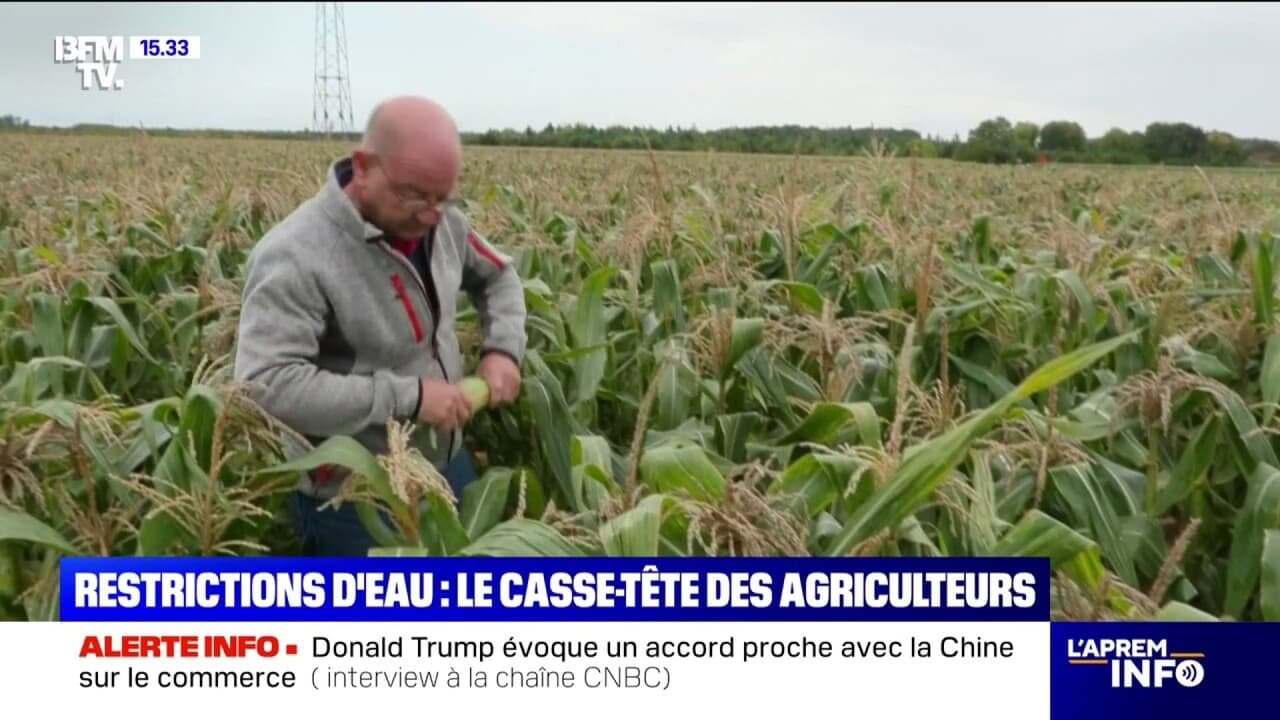 Sécheresse: le casse-tête des agriculteurs qui doivent s’adapter aux restrictions d’eau