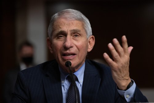 Dr. Fauci drops a bombshell, saying he’s not convinced COVID developed naturally