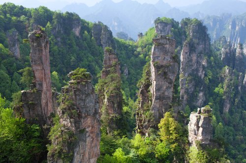 Scientists uncovered an entire forest hidden inside a sinkhole in China