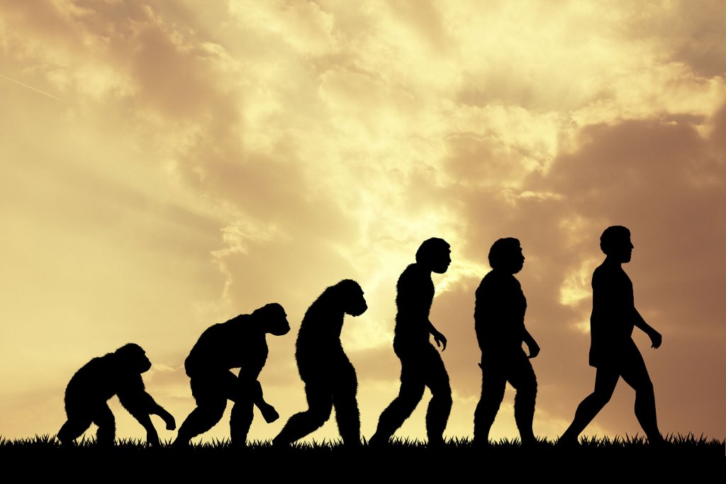 Philosophy, Culture, Education, History, Society, Science, Art