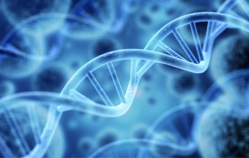 Study uncovers 155 new genes that are evolving in humans