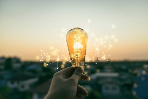 Scientists just discovered an organism that conducts electricity like a wire