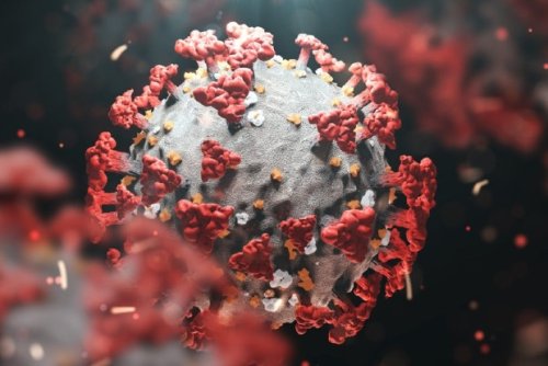 New data offers insights into Omicron symptoms, severity